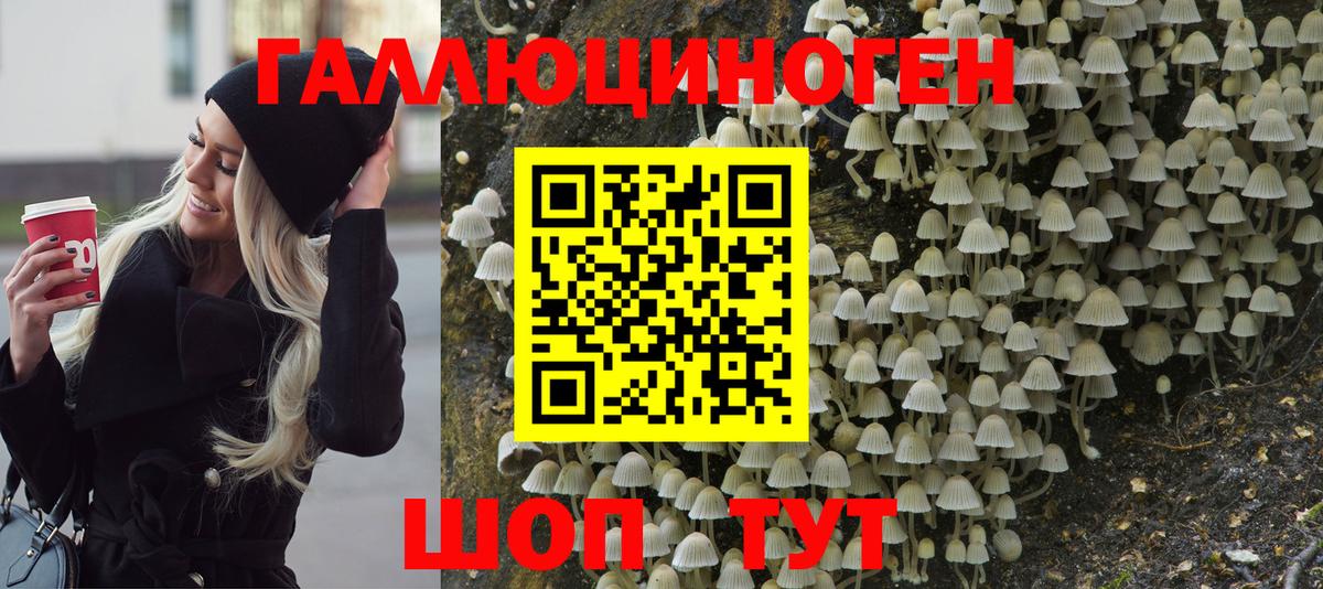 Псилоцибиновые грибы GOLDEN TEACHER  Вход с VPN  Гусиноозёрск 