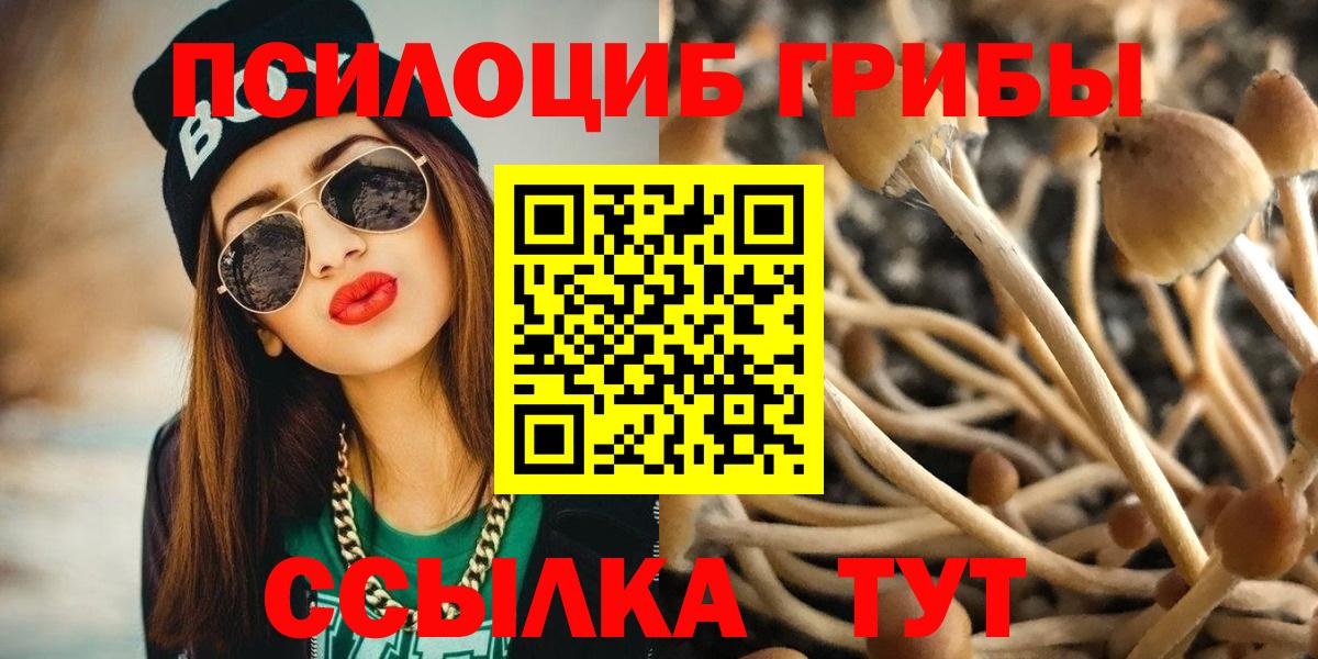 Галлюциногенные грибы мухоморы Гусиноозёрск